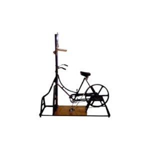 Bicycle Ergograph