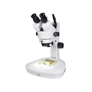 Stereo Zoom Elite+ Microscopes