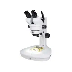 Stereo Zoom Elite+ Microscopes