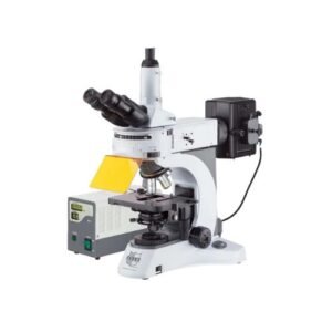 Upright Fluorescence Microscope - Optics