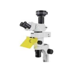 Stereo-Fluorescence Microscope
