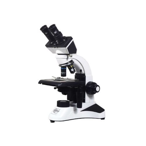 Binocular Microscope CXL-5i