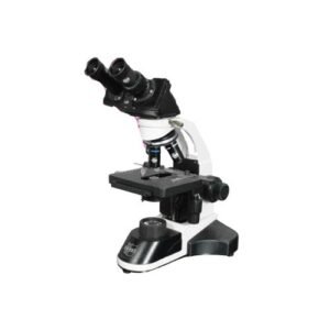 Binocular head