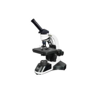 Monocular model